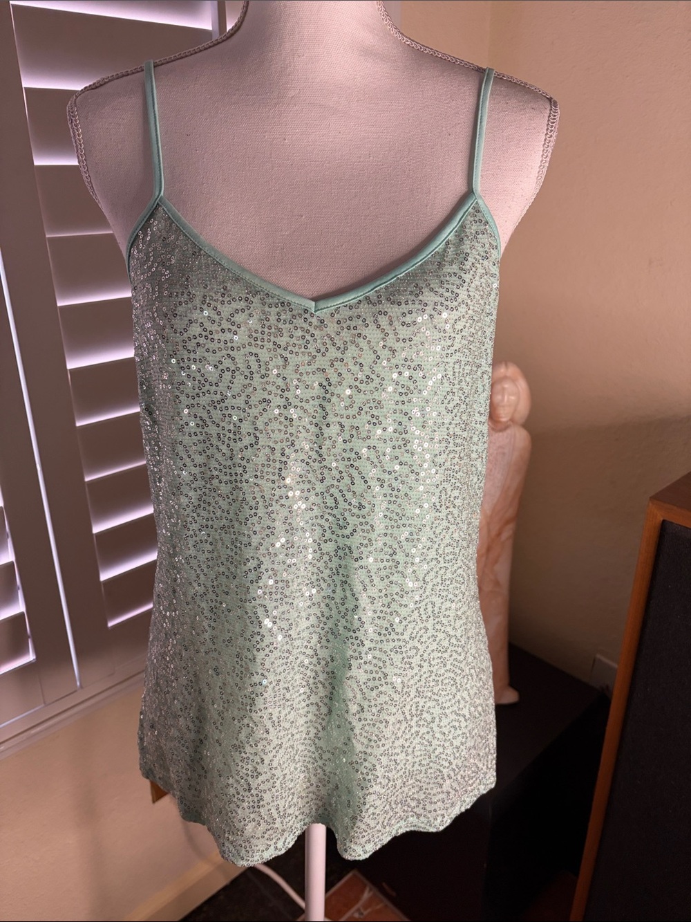 🩵👚Express Aqua Silver Sequined Top With Spaghetti Straps & V Neck Size Large